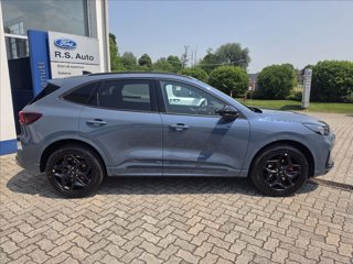 FORD Kuga 2.5 full hybrid BlueCruise Edition 2wd 180cv auto